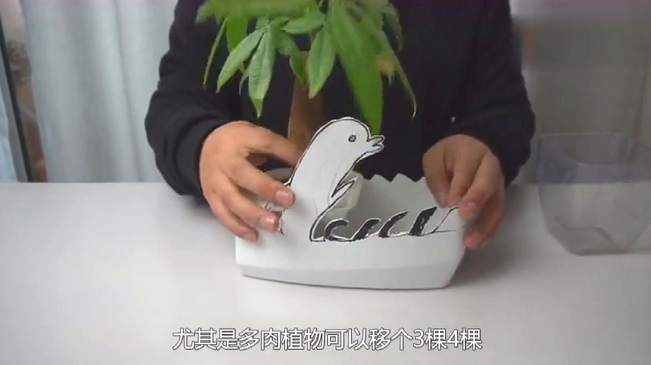 洗衣液瓶子怎麼做花盆