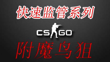 Csgo监管 我觉得我是一个无情的bot 爱言情