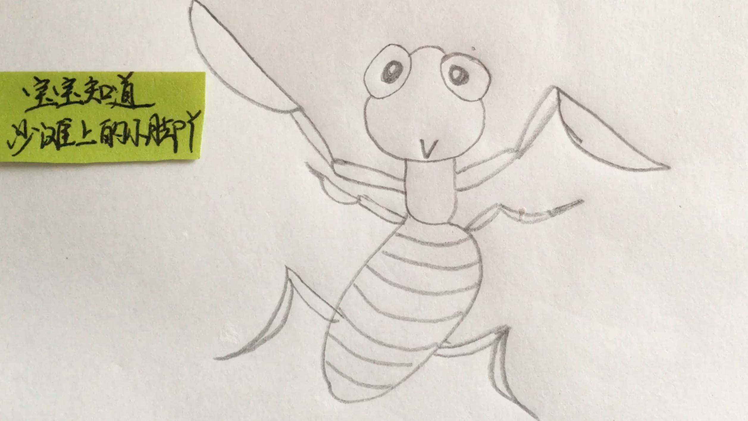 昆虫界的大哥——螳螂简笔画的画法