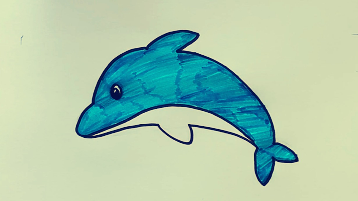 海豚怎么画?