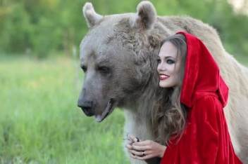 来源:腾讯视频发布时间:2018-11-2701:06实拍俄罗斯棕熊咬人来源