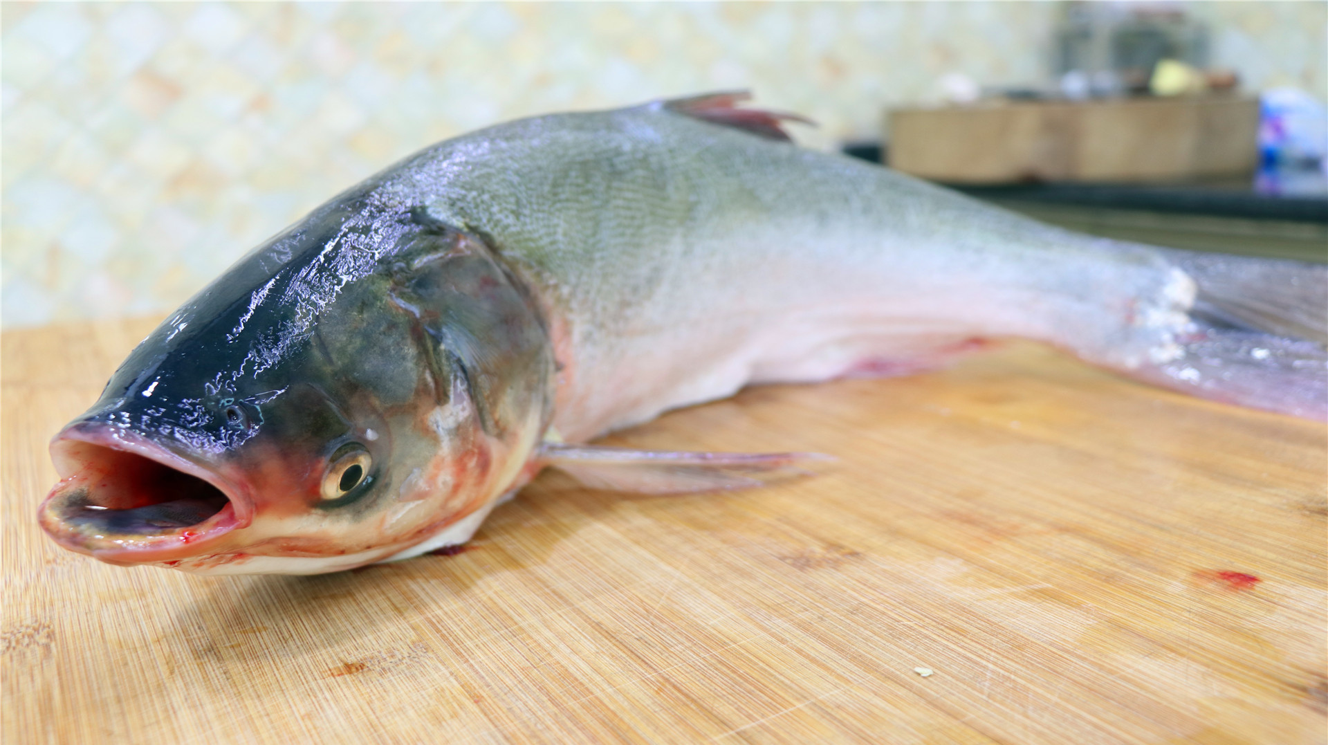 鰱魚都有那些做法