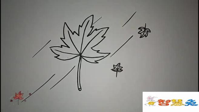 5枫叶简笔画:秋天到了,怎么能没有一幅简笔画呢,铅笔画完用彩笔涂一下