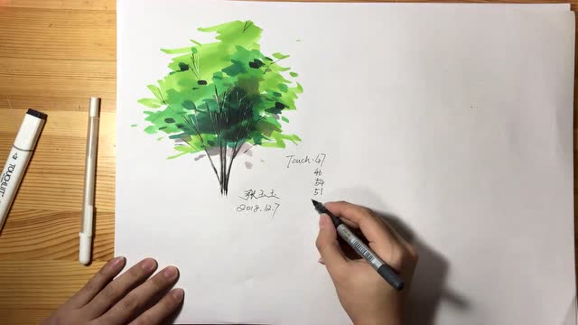 单体(绿色)树马克笔表现