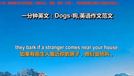 英语作文写作难 老师推荐只须每天跟读一分钟英文 Dogs狗 爱言情 爱生活爱言情