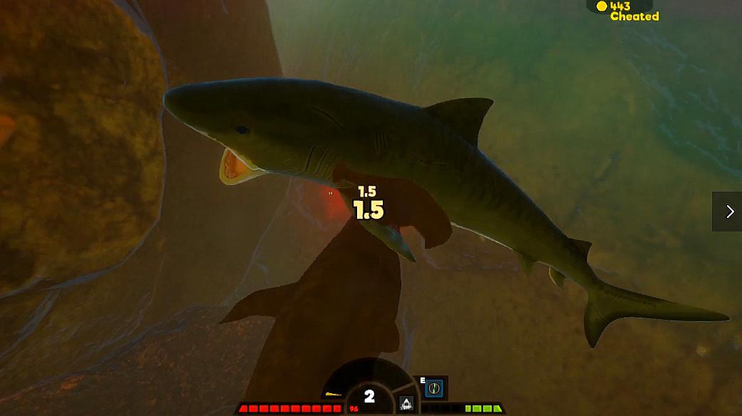 海底大猎杀 锤头鲨与虎头鲨两个实力相当的对手相遇谁更胜一筹呢