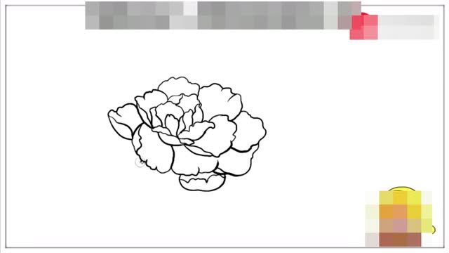 手把手教你画花朵,喜欢画画的可以学习 4超级简单的牡丹花简笔画,让