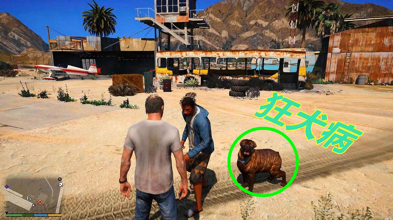 gta5:老崔在自家机库门口被狗追,这条狗得了"狂犬病"吗?