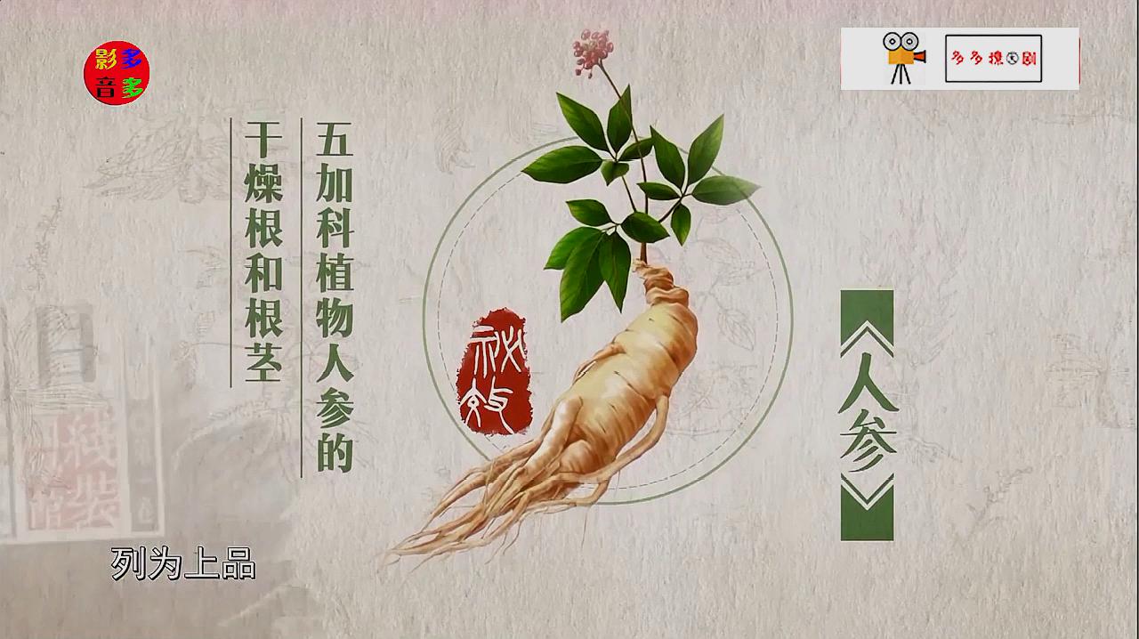 人参炖鸡的多种做法