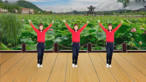 最新广场舞教程大全-教育视频大全