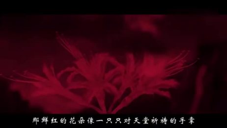 彼岸花何以被人冠上冥界之花的头衔 相关视频 盛开于地狱的彼岸花 为什么会有这样的传说 细谈彼岸花来龙去脉 爱言情