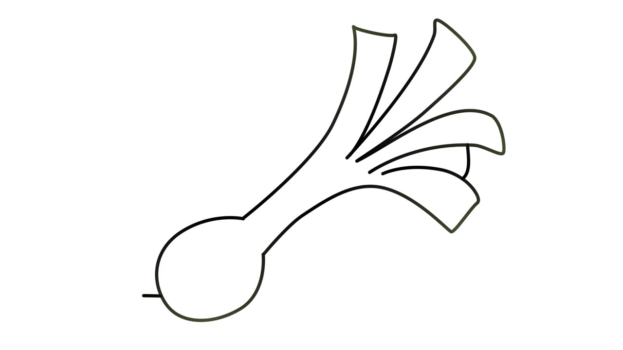 儿童基础简笔画大葱 服务升级打开原网页 2简单大葱的画法  00:45