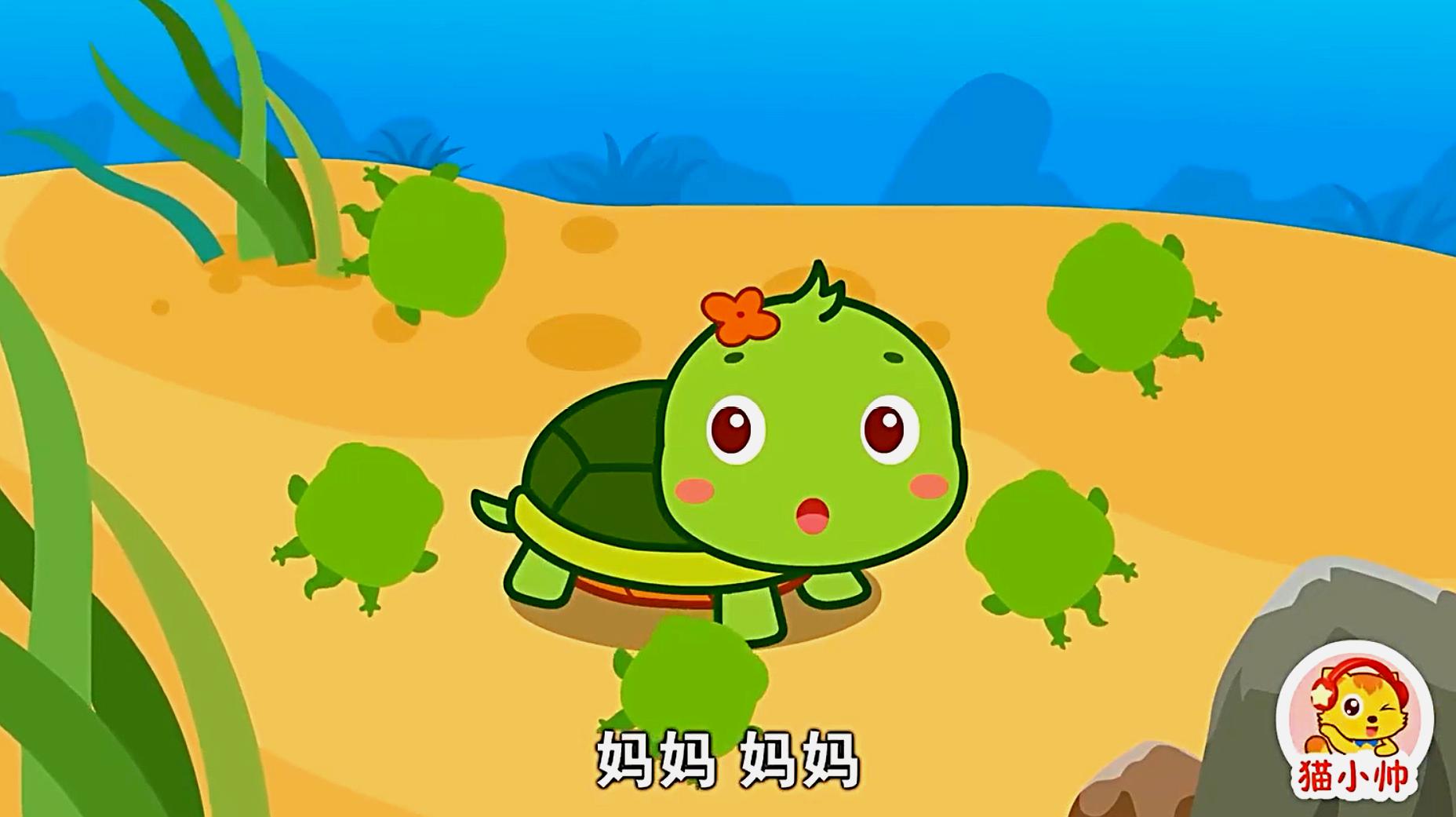 猫小帅故事:小蝌蚪找妈妈,以为小乌龟是妈妈,连忙喊道妈妈