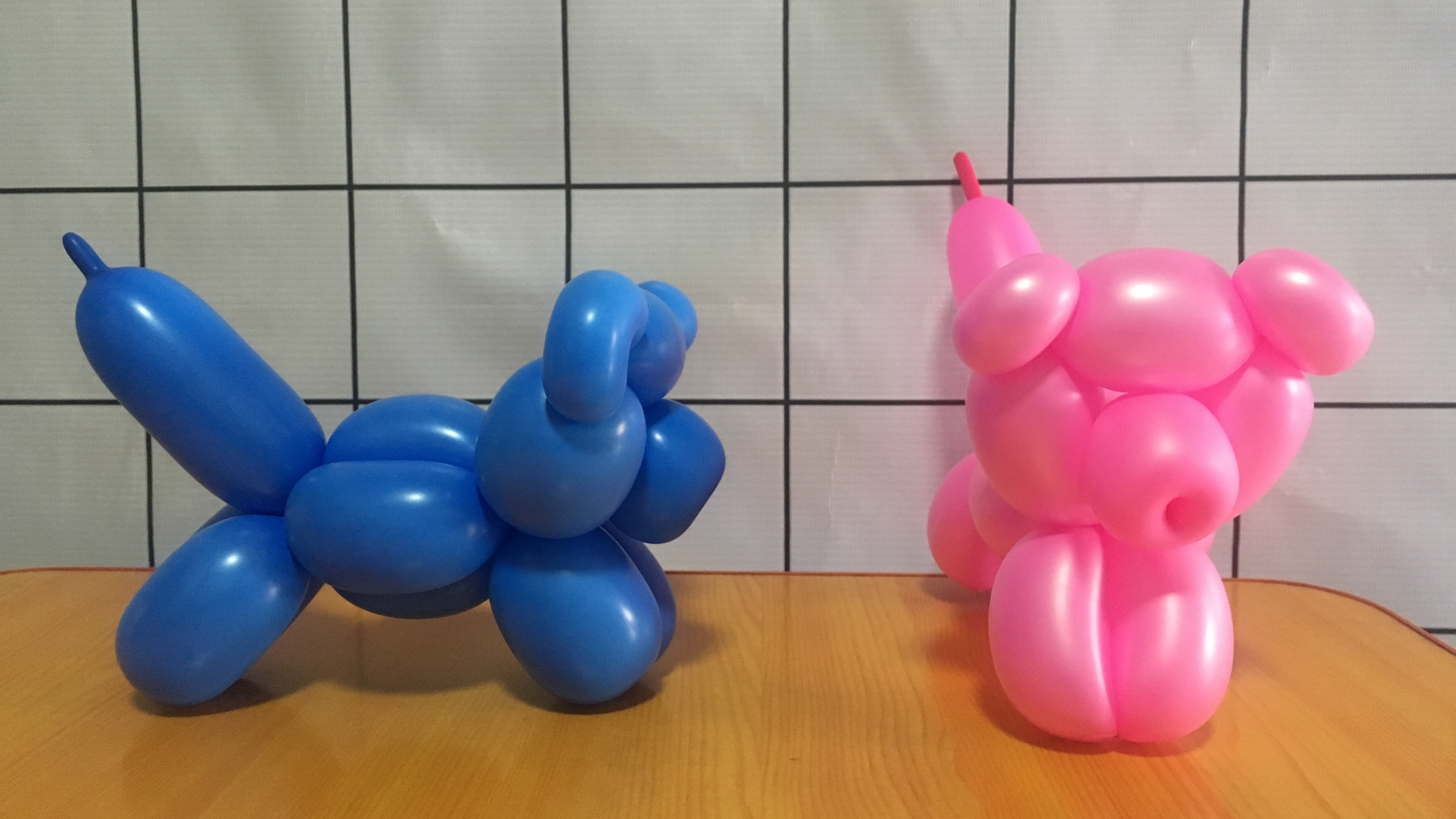 气球小猪免费教学长条气球造型教程街卖派送气球造型