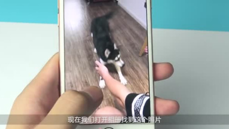 苹果手机导入live Photo 无需越狱 相关视频 Iphone如何剪辑live Photo 爱言情