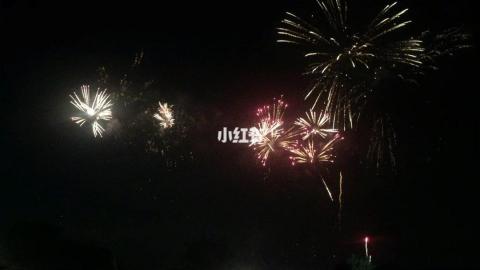 川越花火大会 自带背景音乐