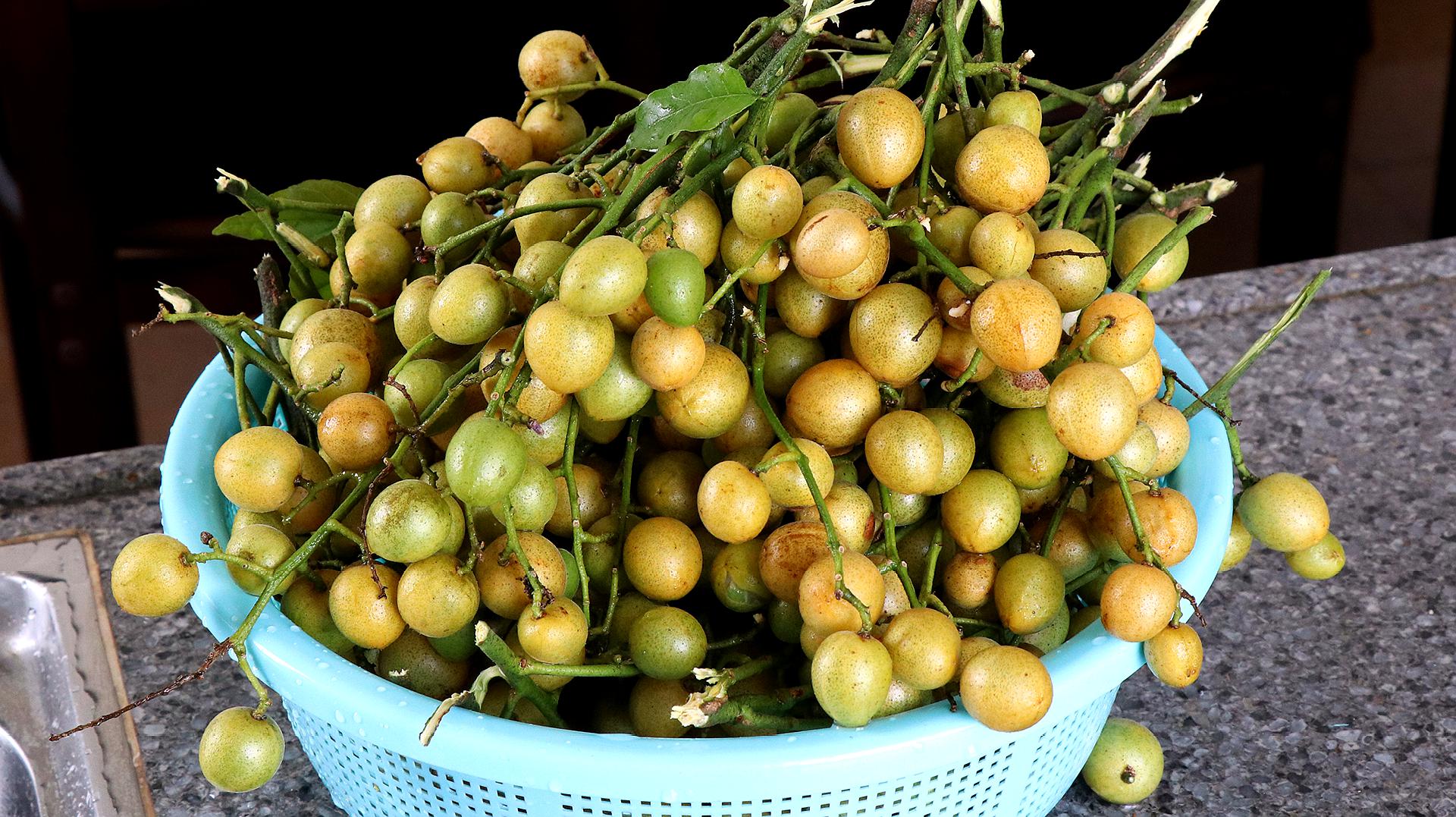 黄皮果怎么做好吃?