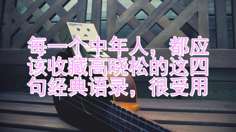 高晓松的名言名句 百度
