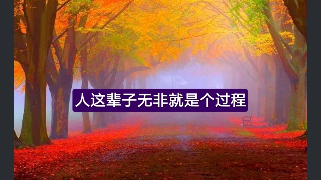 人这辈子无非就是个过程