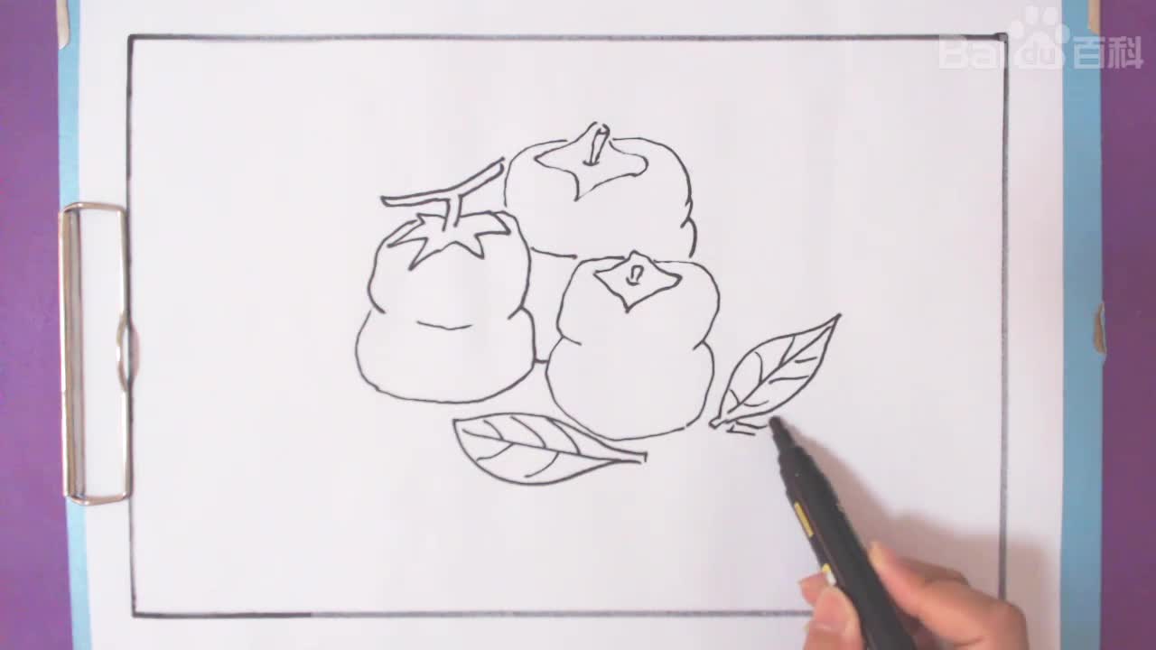 柿子简笔画怎么画