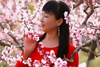 你像三月桃花开是什么歌 百度视频搜索