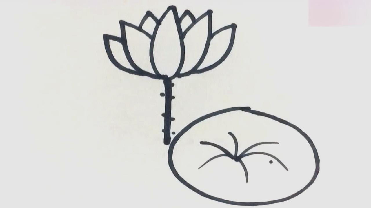 荷花简笔画怎么画?
