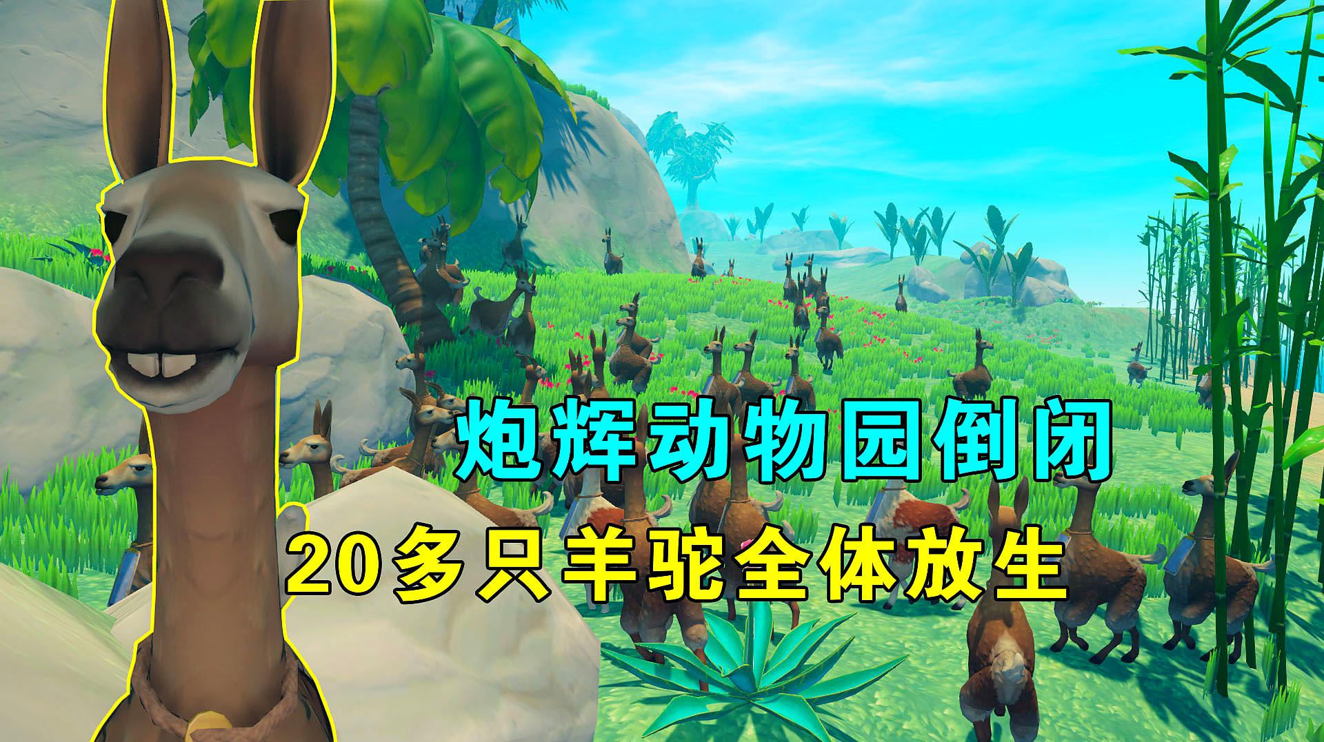 木筏求生联机68:炮辉动物园倒闭,20多只羊驼全体放生,回归自然