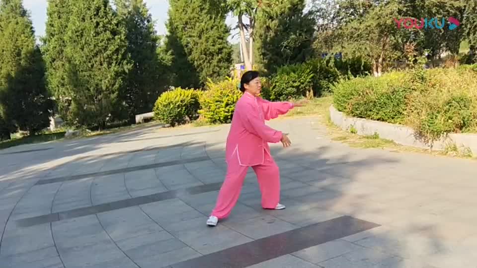 四十八式太极拳