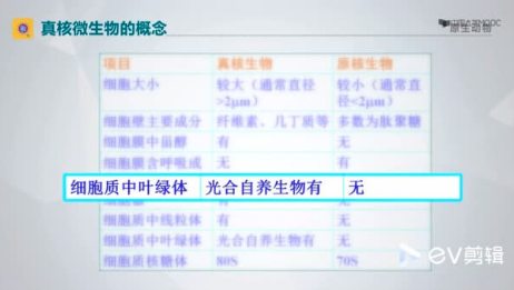 原核细胞和真核细胞的区别与联系 爱言情