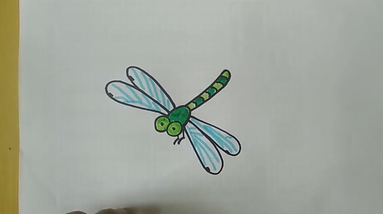 画出蜻蜓的两只眼睛,画出身体,再画出翅膀,最后涂上喜欢的颜色就做好