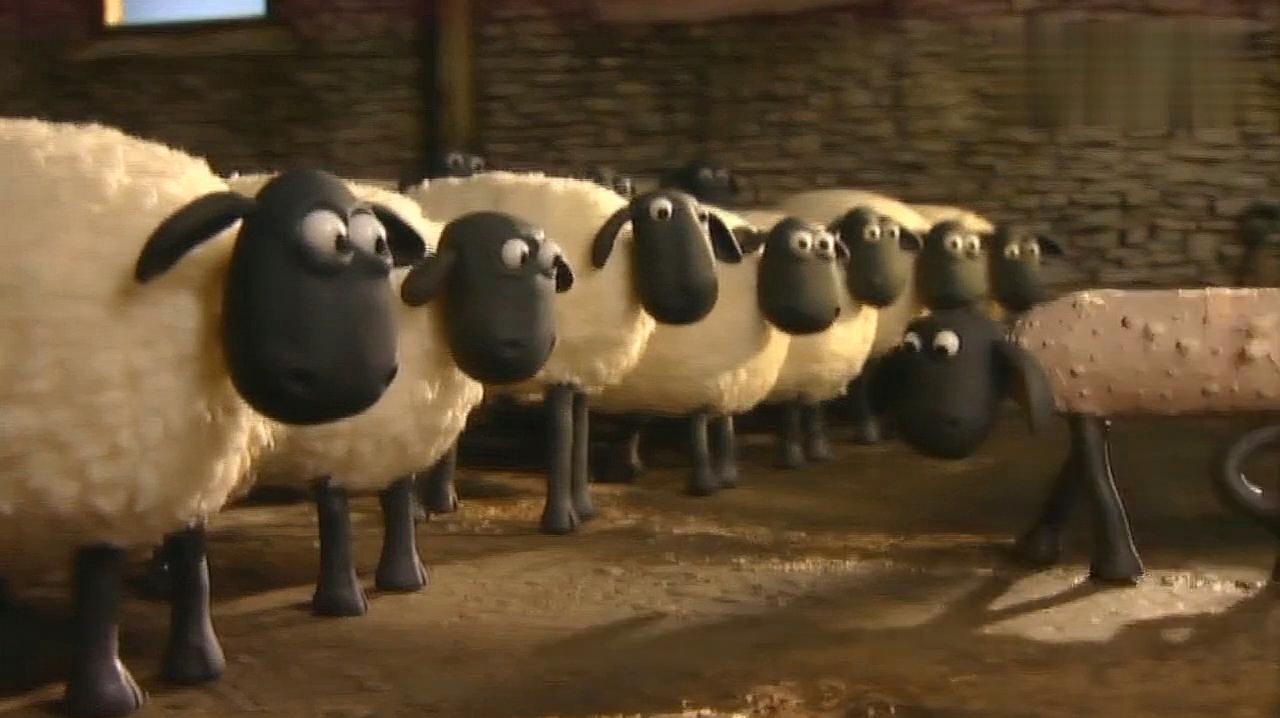 小羊肖恩:农场主强迫羊羊们脱衣