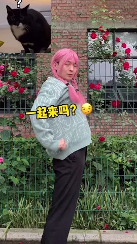 猪比,和我一起成为搓脚女团吧!