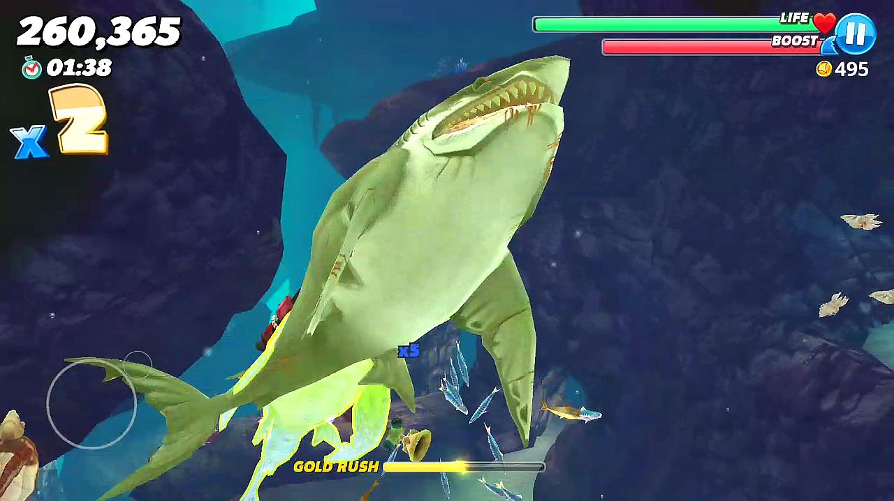 饥饿鲨巨型人面鱼图片