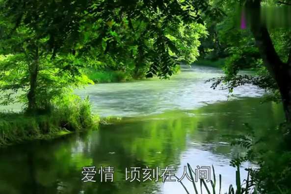 浪漫的爱情现代诗 百度 浪漫的爱情现代诗 百度