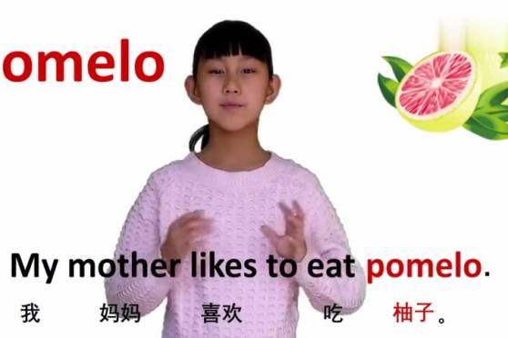 柚子用英语怎么说 百度