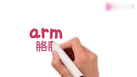 手臂的英语怎么读 胳膊的英文怎么读音 爱言情 手臂的英语怎么读 胳膊的英文怎么读音 爱言情