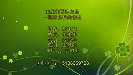 葡萄花芽分化的两个阶段分别是什么 爱言情 葡萄花芽分化的两个阶段分别是什么 爱言情