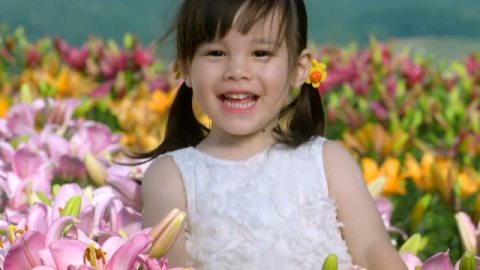 Sweety 樱花草mv Sweety 樱花草mv