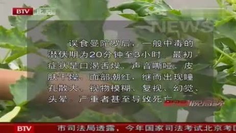 北京出现大量有毒曼陀罗花9月11日 爱言情