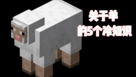 Minecraft五个关于羊的冷知识 看看有没有你不知道的 爱言情