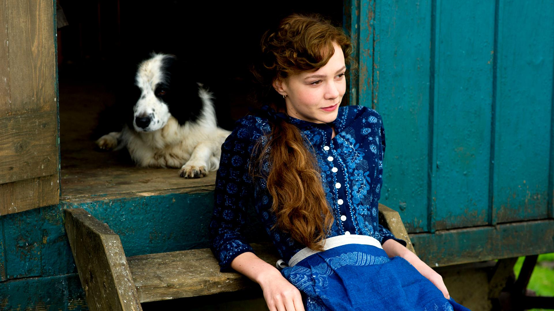 1《假期历险记》:讲述了克拉克葛利斯伍德一家子兴高采烈的计划着要