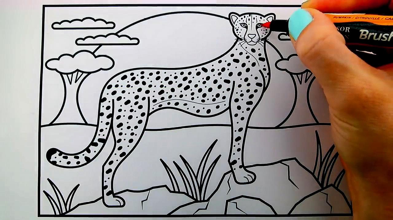 简易画教你怎么画豹子