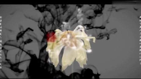 日语歌曲 歌鸟风月 原创歌词译文 相关视频 己龍 花鳥風月 中文译名 花鸟风月 官方mv中日字幕版 爱言情 日语歌曲 歌鸟风月 原创歌词译文 相关视频 己龍 花鳥風月 中文译名 花鸟风月 官方mv中日字幕版 爱言情