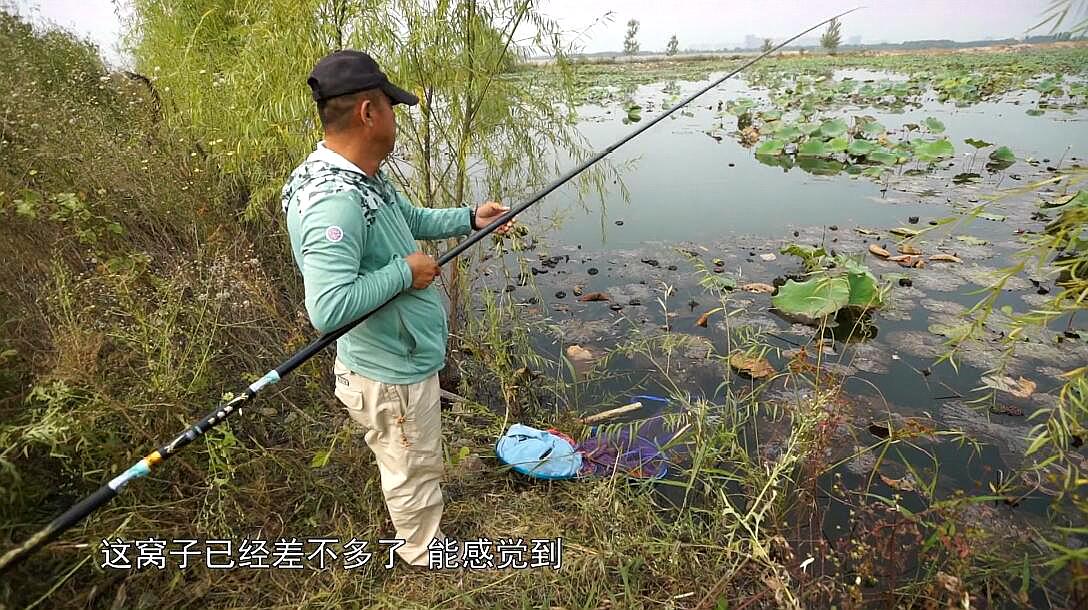 08:03  来源:好看视频-李大毛野钓打窝果然有一套!