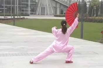 夕阳美中国功夫太极扇_百度视频搜索