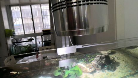 Diy的水草灯做好啦大家来看看效果 爱言情 爱生活爱言情