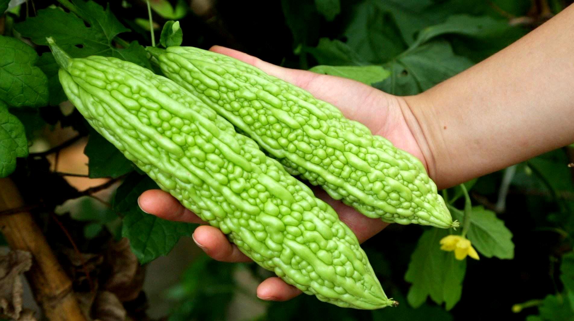 哪些蔬菜有养胃的效果?