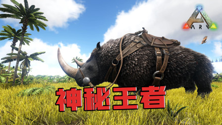 方舟生存进化:披毛犀!这牛得就像战神!