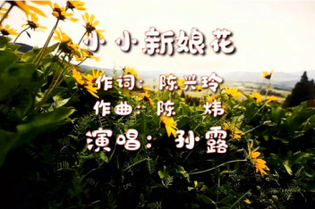 小小新娘花,孙露经典,太好听了,_百度视频搜索
