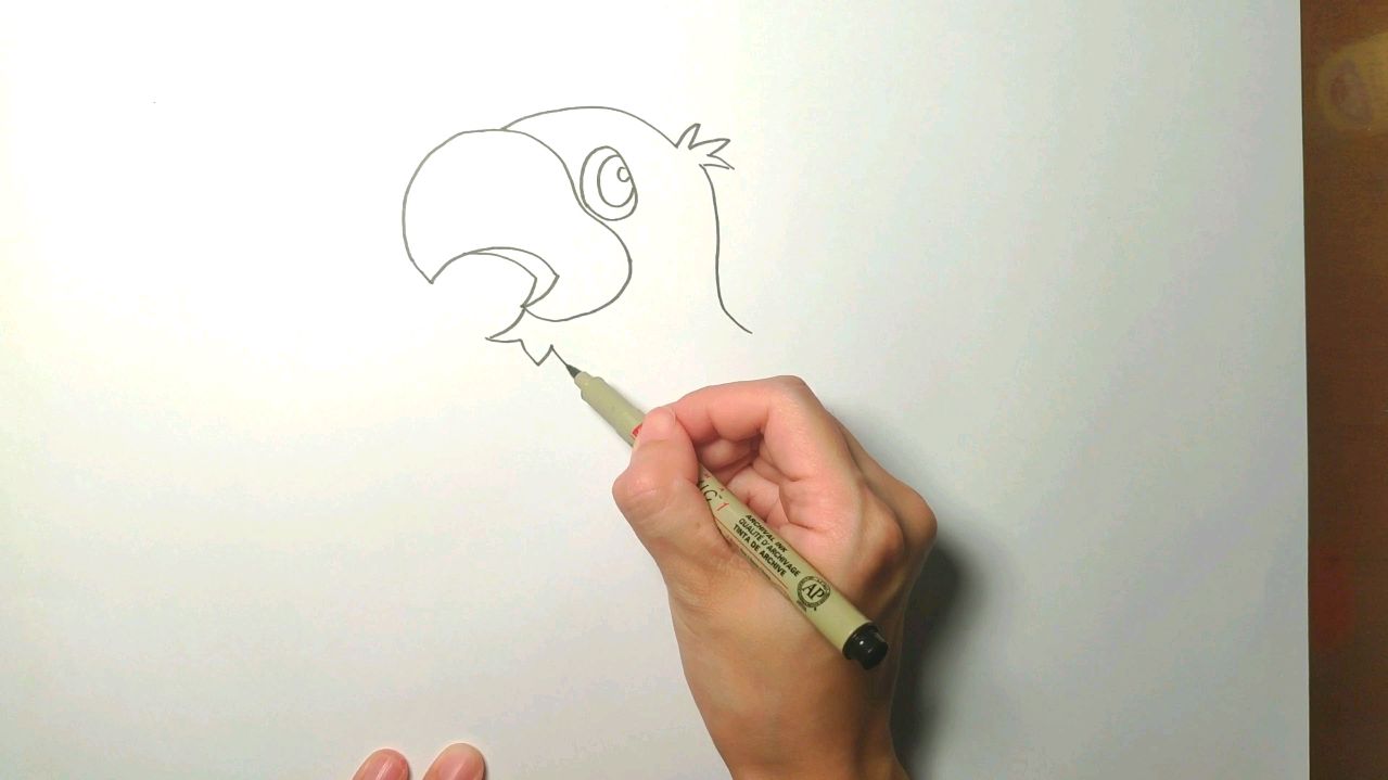 一只大鹦鹉简笔画手绘